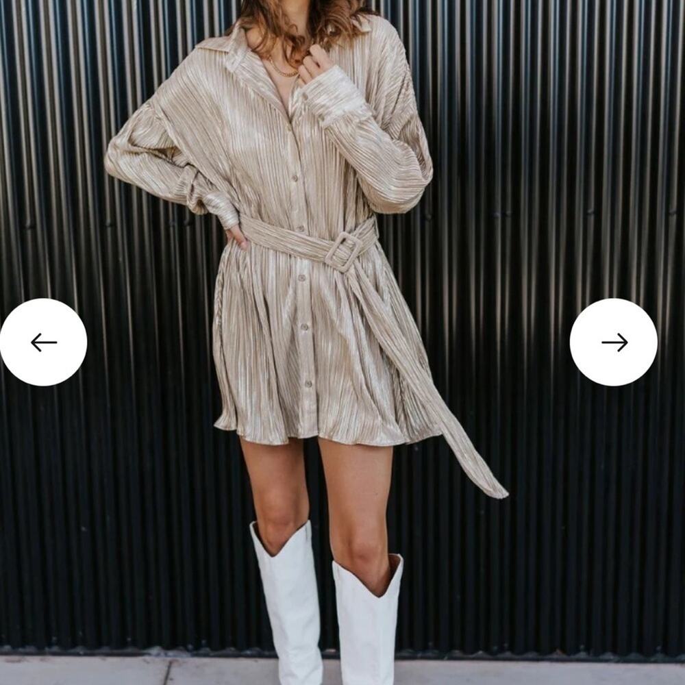 Lizard Thicket Pop the Champagne Dress